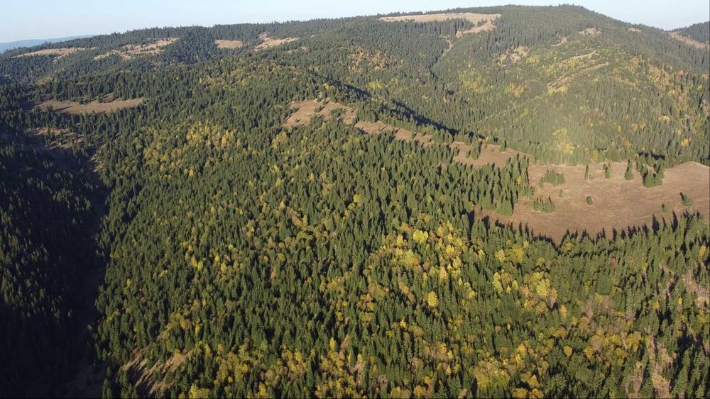 Pasune montana impadurita 16.2 ha