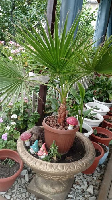 Продам вазоны! В наличии 3 шт.