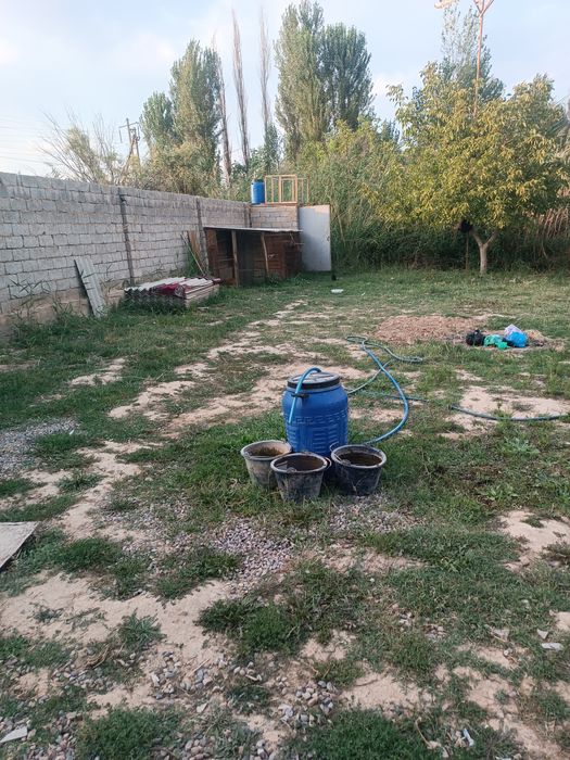 Sotaman uzimni dala xavlim