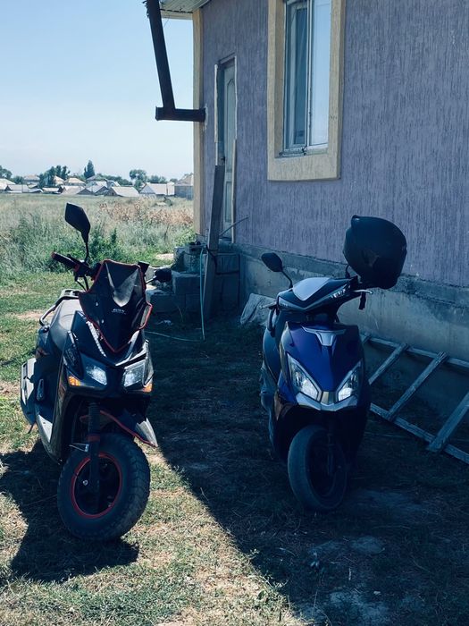 Продам мопед м10