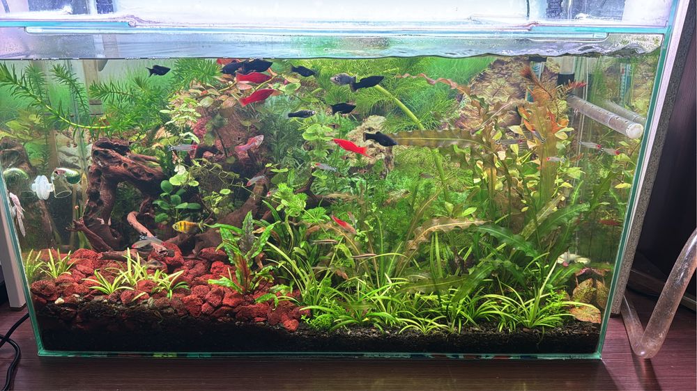 Аквариум 100 литров