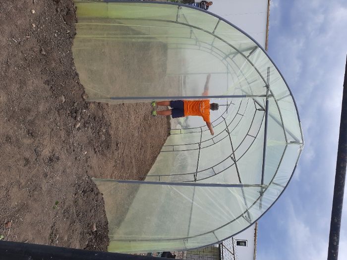 Оранжерии/Парници