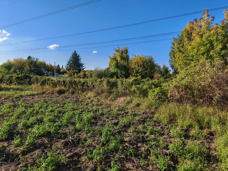 Продам дачу 8 соток, Садоводство "Металлург".