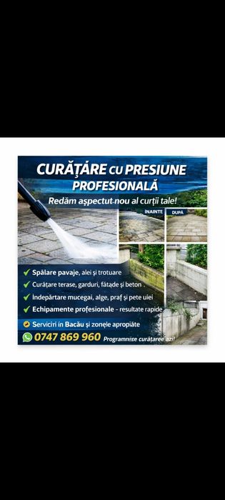 Pregătire curte gazon gradini