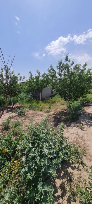 Продам дом с большим участком