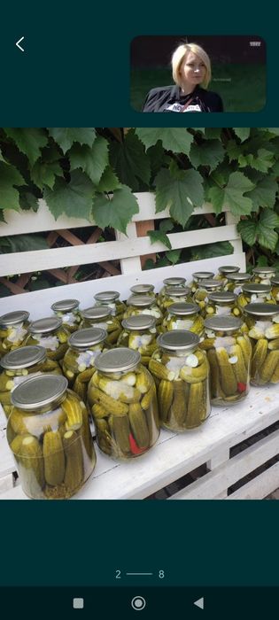 Солёные огурцы. Лучшие