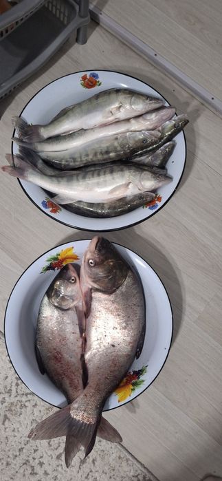 Балык сатылады..