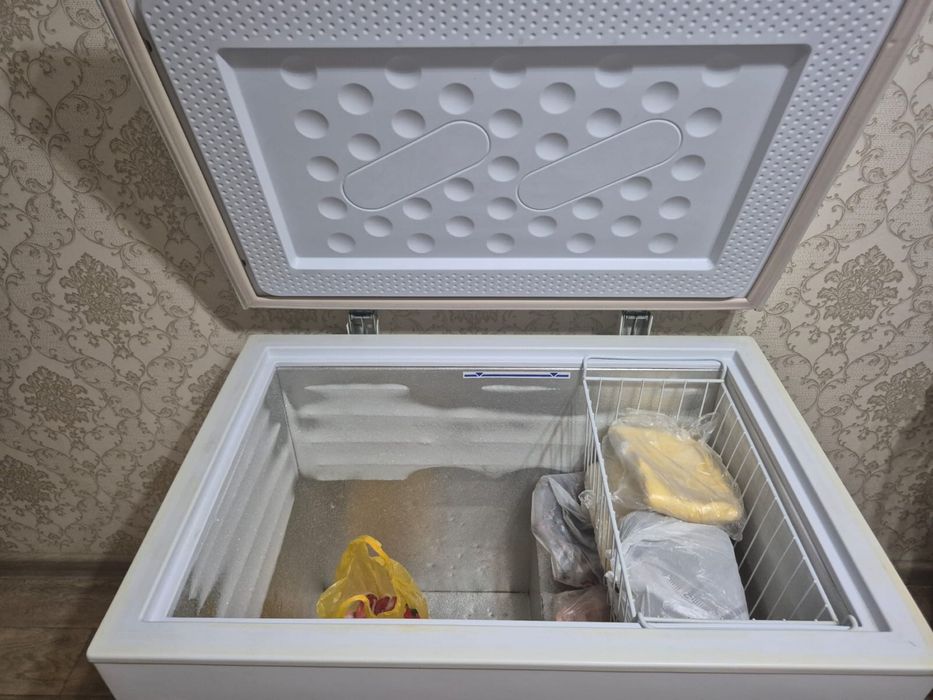 Маразмльгая камера Бирюса