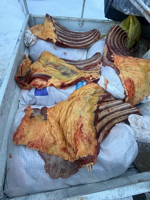 Согым  бие 1 аяктап 3000 тг