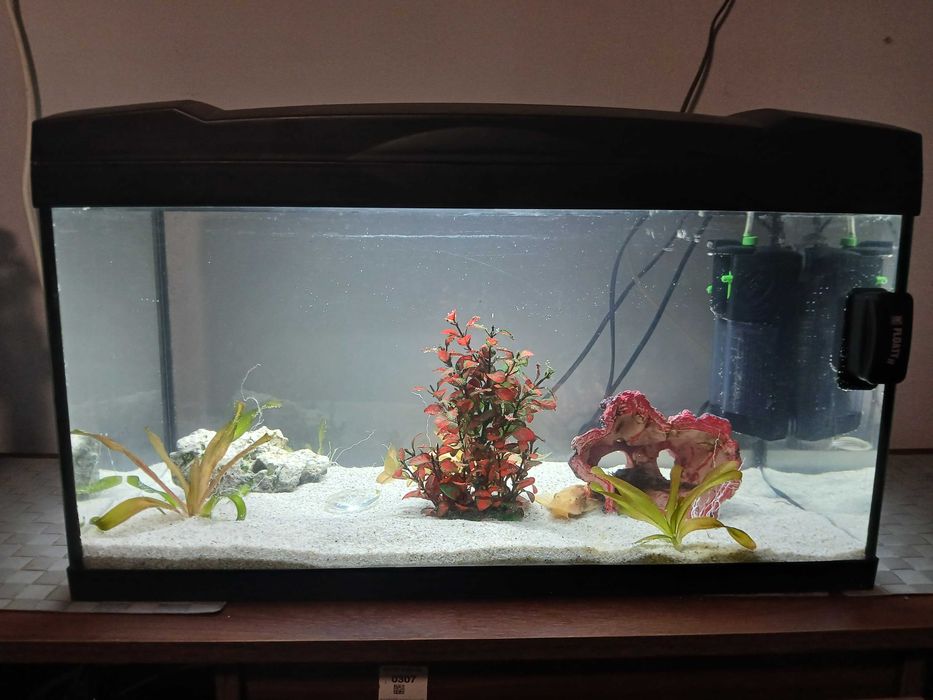 Vand acvariu cu accesori multiple