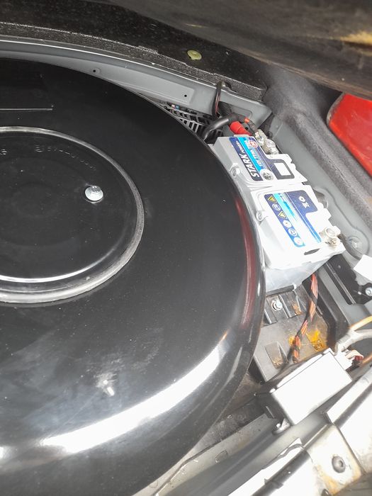 Уникално зъпазена