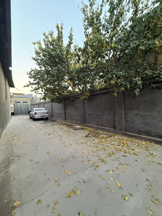 Yer sotiladi  3 - Qaxramonda