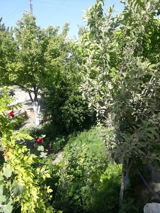 Kvartira sotiladi, narxi batafsil telda kelishiladi!