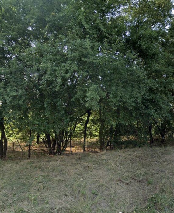 Teren de Vanzare Snagov