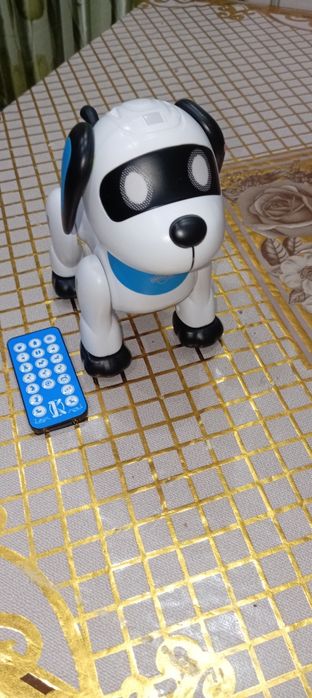 Собака на пульту управления