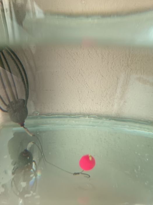 Montura crap, caras,plătică premium!