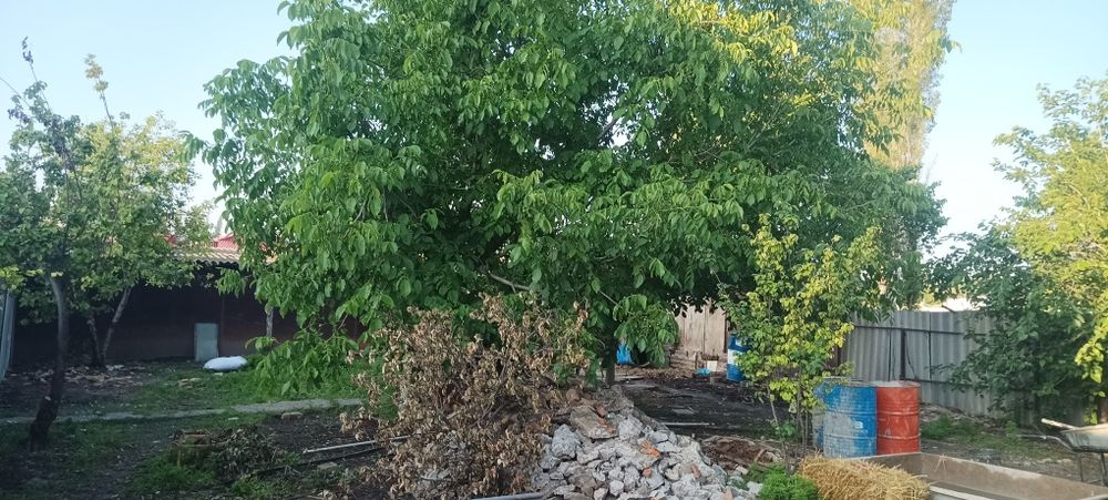 Уй сотилади 2 хона 3 соток Юкори Чирчик р-н (Ахмад Яссавий) 26000 у.е.