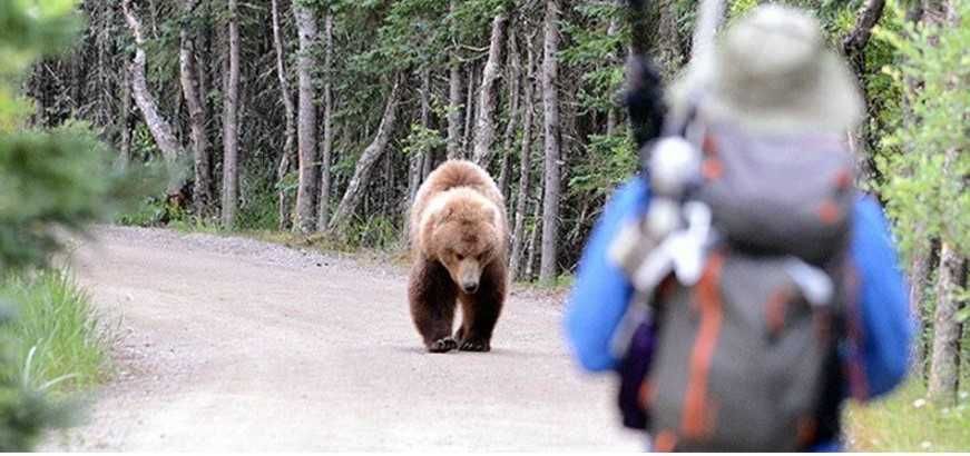 Spray autoaparare BEAR DEFENDER impotriva Ursilor,Lupilor,600 ml