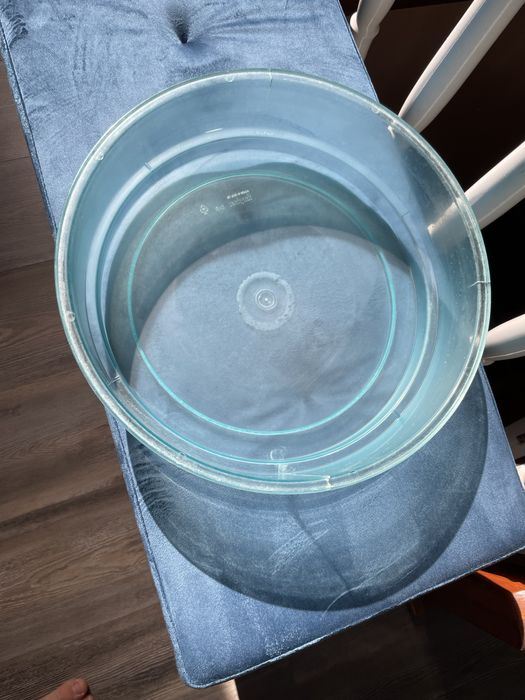 Acvariu broasca testoasa