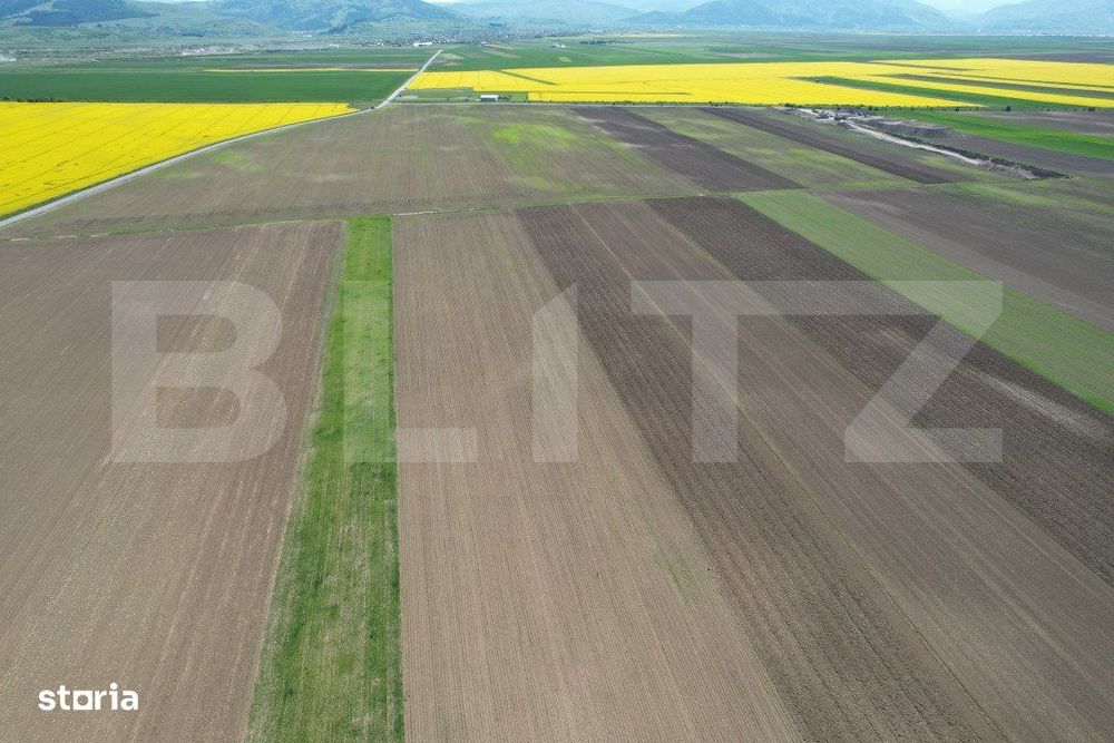 Teren extravilan, 17700mp, zona Prejmer