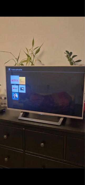 Televizor Sony Bravia