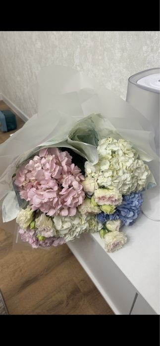 Гортензии свежие