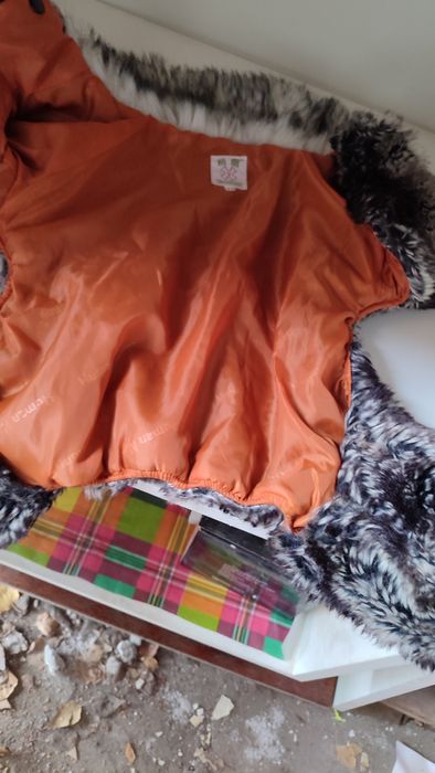 Одежда для собак