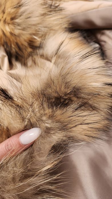 Грейка Guess и яке AVIN