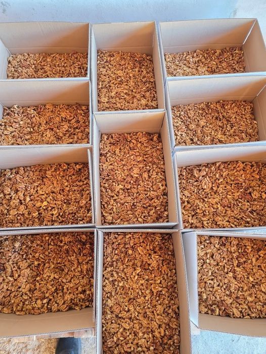 Miez de nuca de vanzare