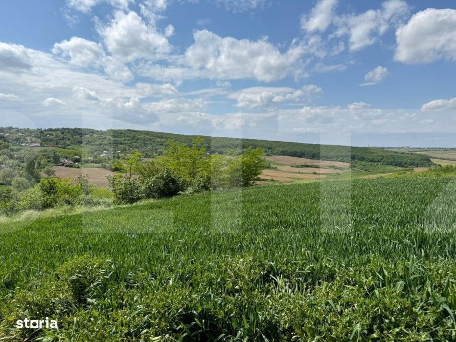 Teren extravilan 6.800 mp – Zaicesti – Oportunitate investitie