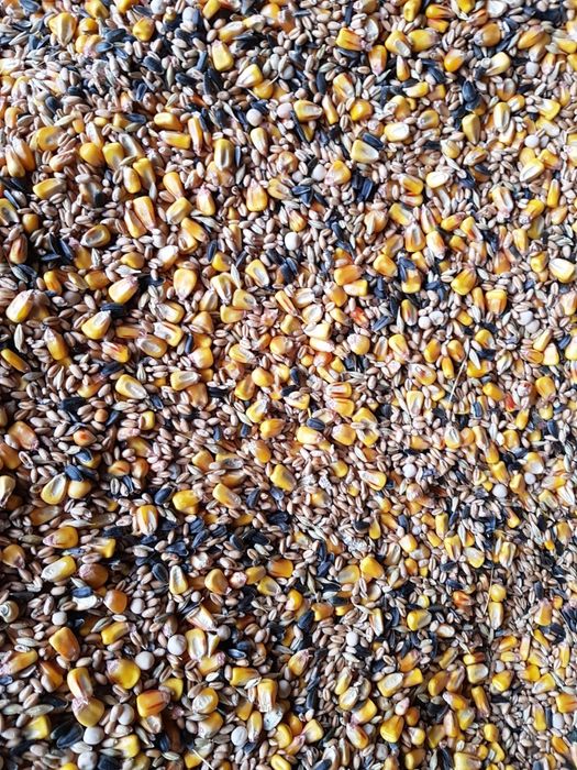 Vând uruiala/spărtură  din amestec