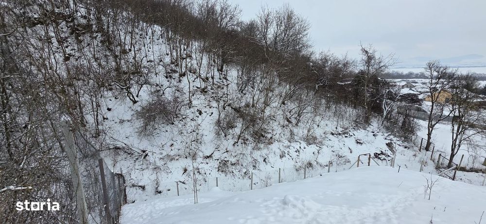 Proprietate deosebită în sat Chinari – Sântana de Mureș