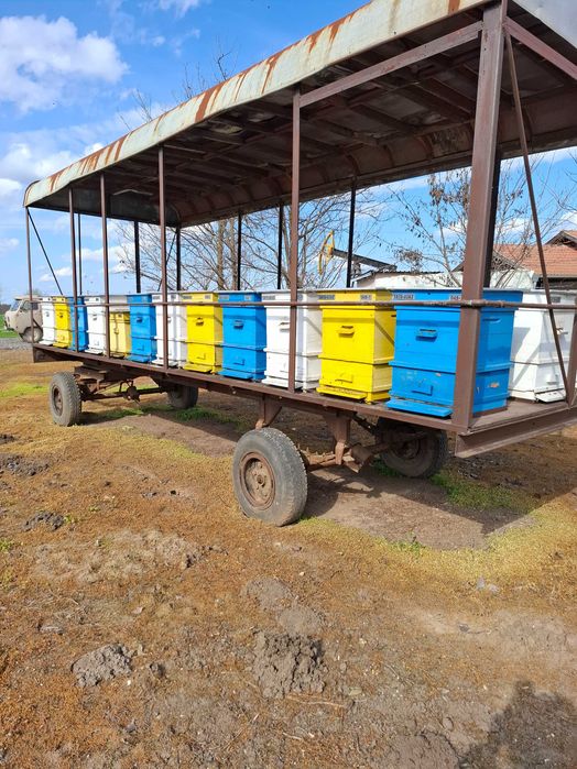 Продавам пчелни семейства