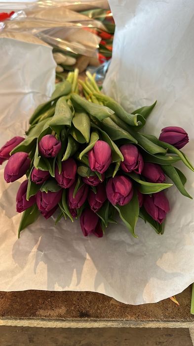 Тюльпаны крупные оптом