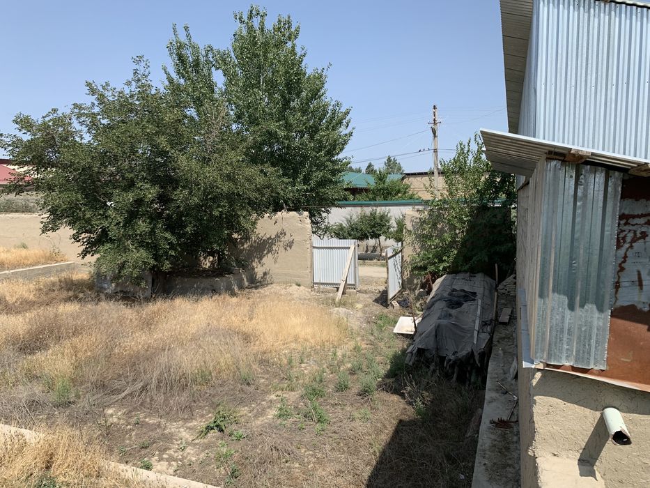 Ер сотилади: Самарканд колхоз победа