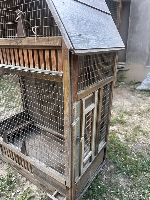 To’ti  va yapon tovuq uchun sifatlik katak