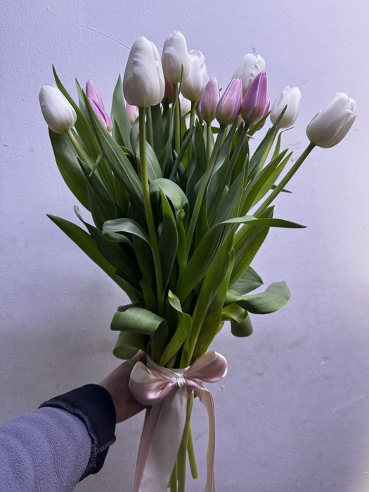 Тюльпаны оптом из теплицы