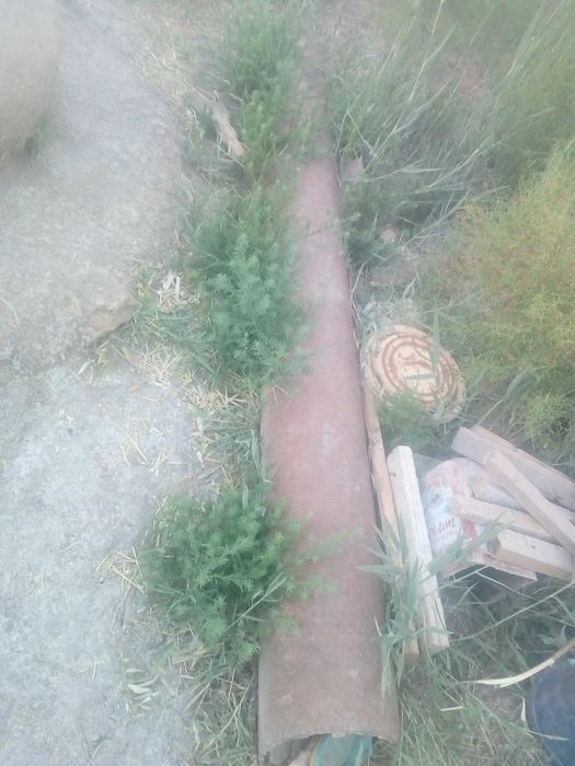 Улкен труба сатылады