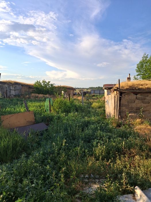 Продам дом в чапаева.