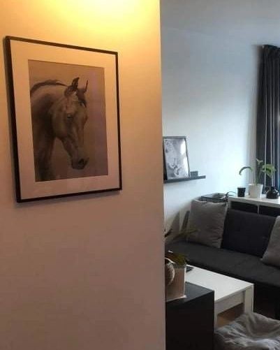 Portret animale, oameni