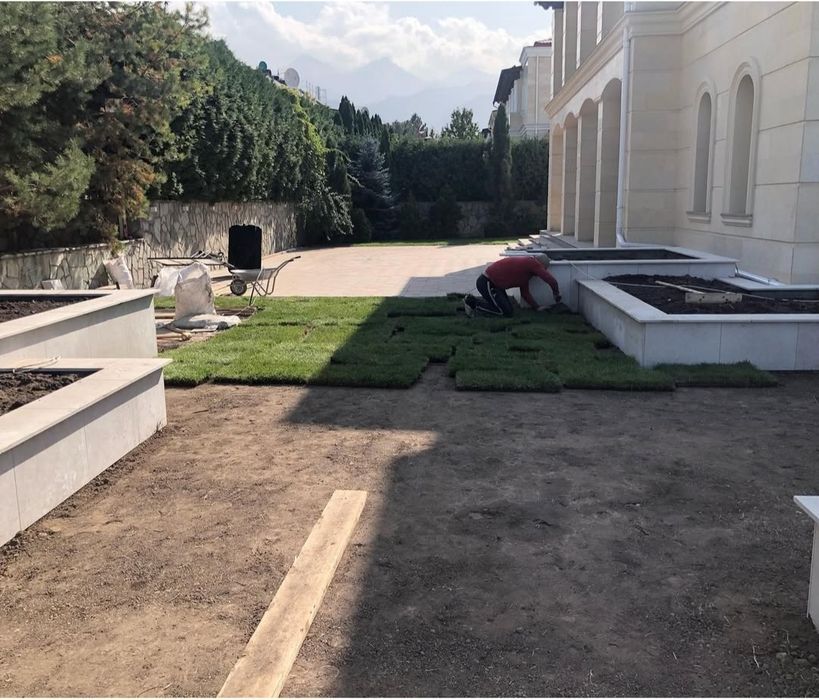 Газон посевной рулонный