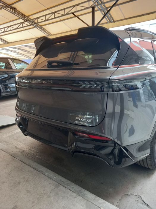 Voyah opola tech 318km fool 2025