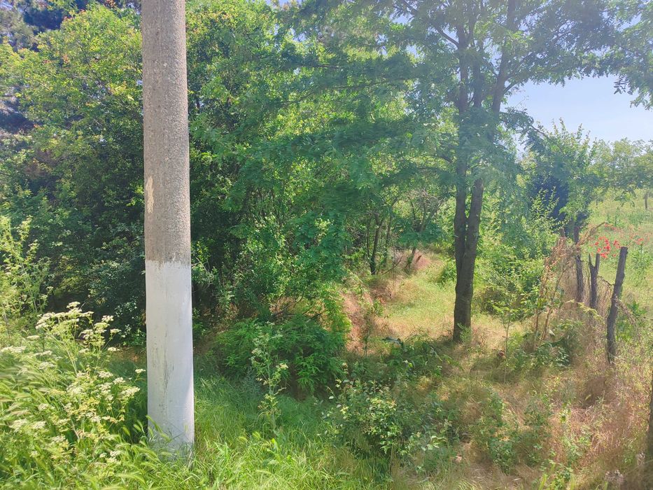 Продава се Парцел в с. Бежаново, Област Добрич - 1750 кв.м за 3 €/кв.м - Снимка #2