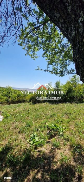 NECTORA IMOB-Teren Zona Podgoria,3400 mp (Intravilan + Extravilan)
