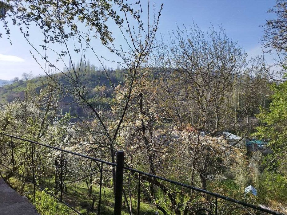 Продается дача 4 сот в горах Чинор