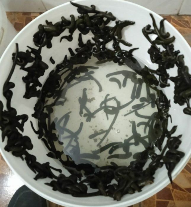 Зулук шуллук Бухоро