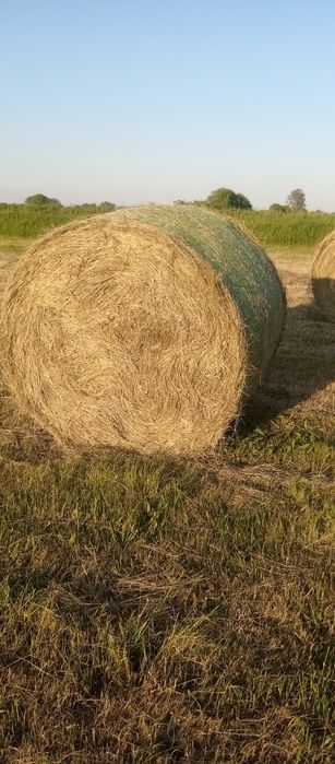 Първо косило люцерна и сено