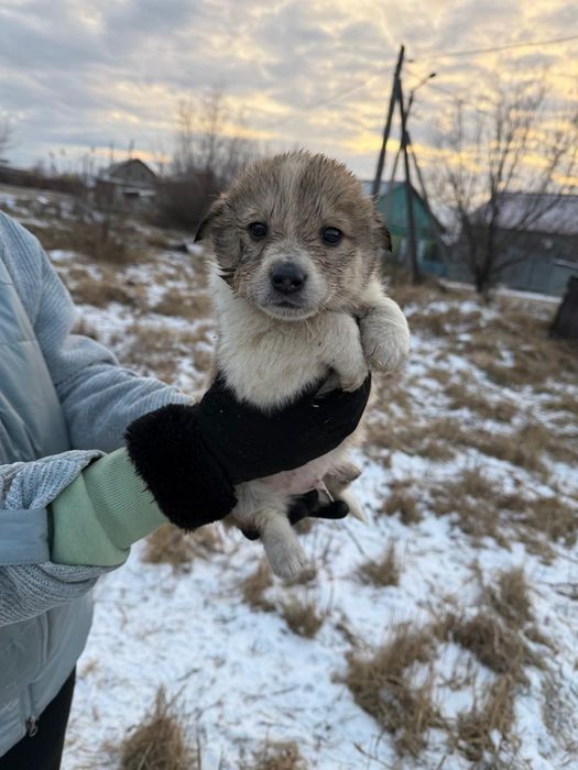 Подарите дом малышам.