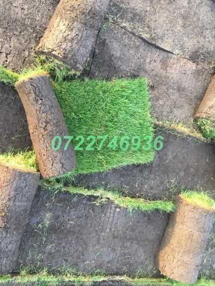 Gazon Rulou de Calitate Superioară cu Montaj Disponibil