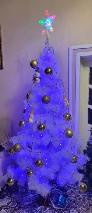 Арча сотилади 2 ярим баландлиги